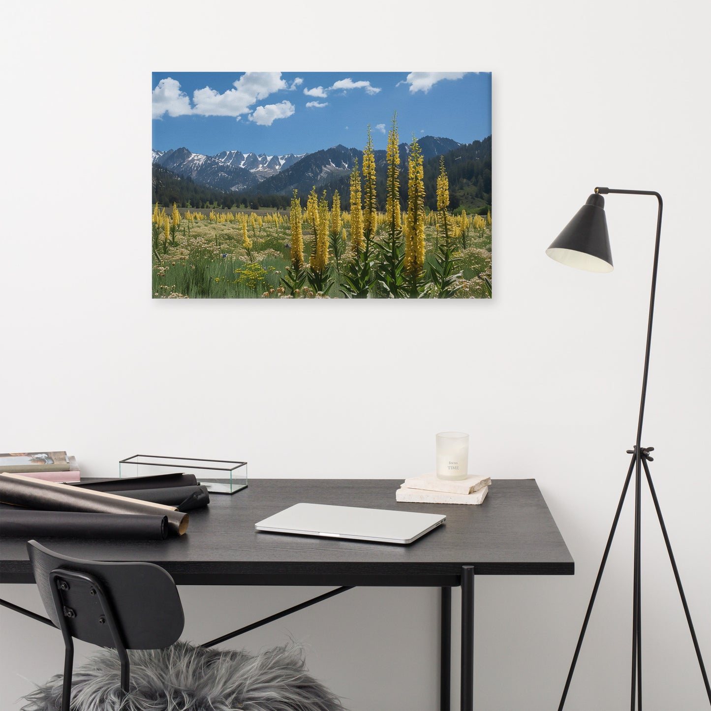 Alpine Mullein Meadow Canvas Print